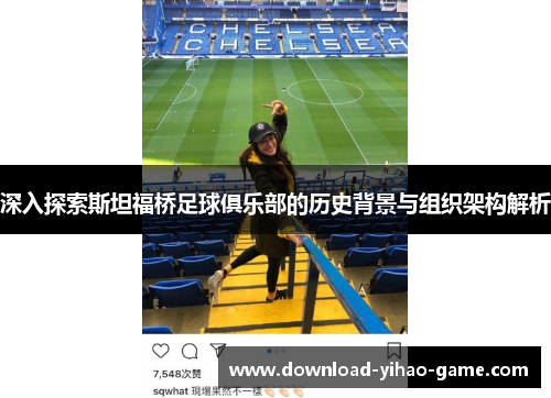 深入探索斯坦福桥足球俱乐部的历史背景与组织架构解析