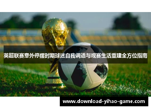英超联赛意外停摆时期球迷自我调适与观赛生活重建全方位指南