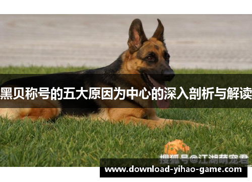 黑贝称号的五大原因为中心的深入剖析与解读